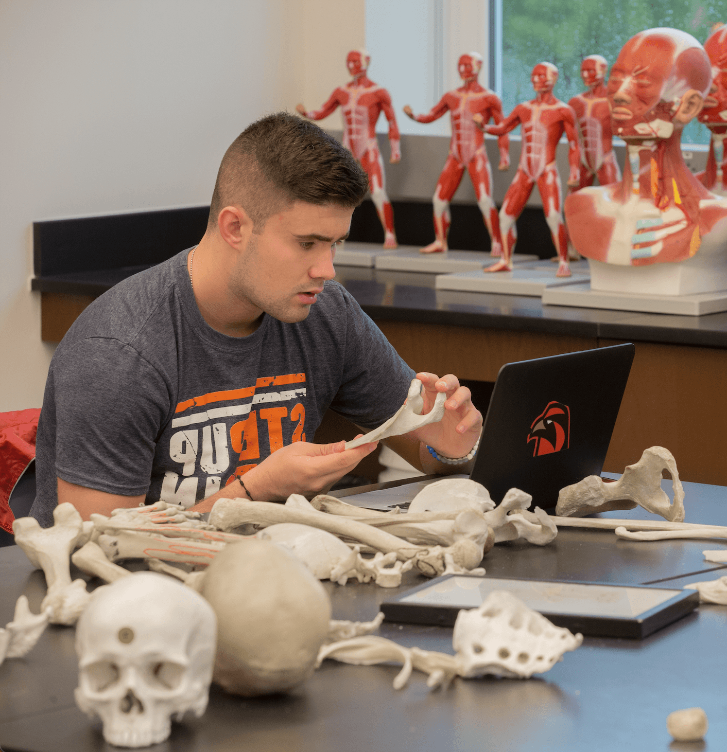 一名学生在解剖课上复习骨骼. BGSU为医学预科学生提供各种专业前体验.